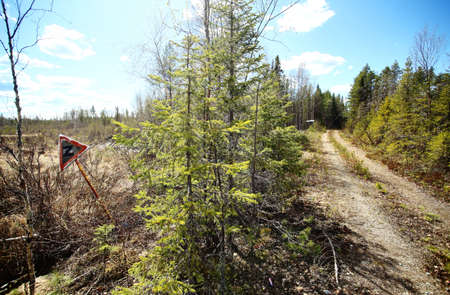 Small and desolate forest road in Sweden with a warning sign.の写真素材