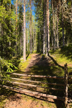 Rural gate leading into a nature reserve in northern Sweden.の写真素材