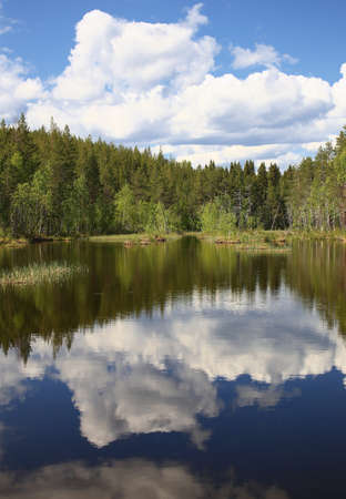 Idyllic view over lake and swamp in northern Sweden.の写真素材