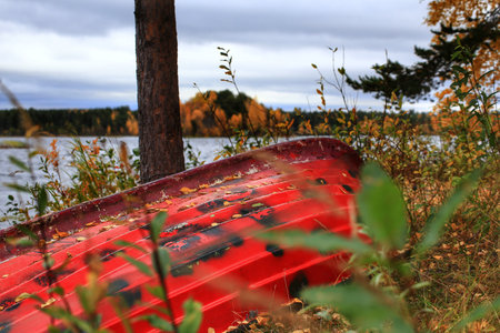 Red boat lying in shrubbery at a lake shore in northern Sweden.の写真素材