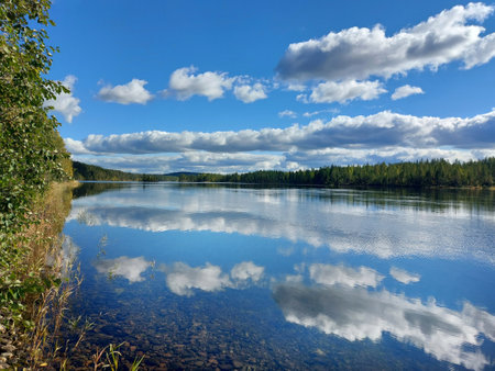 Riverside of Skellefte river in northern Sweden in late Summer.の写真素材