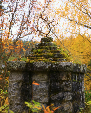 Reindeer antlers on an ancient pedestal in the forest.の写真素材