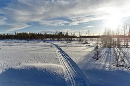 Snowmobile track on a thick layer of snow in northern Sweden.の写真素材