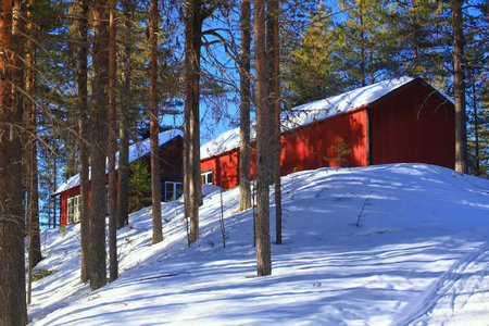 Red cabins in the woods in northern Sweden at wintertime.の写真素材