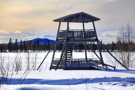 Lookout tower in northern Swedish winter during with bright sunlight.の写真素材