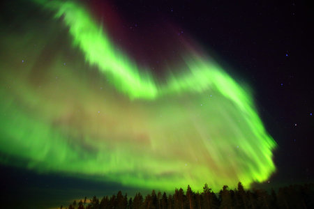 Green and purple aurora formation above forest in northern Sweden.の写真素材