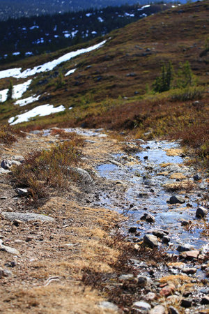 Melting water running along the hiking trail in northern Sweden.の写真素材