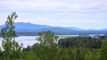Idyllic river Malan in northern Sweden in summer.の写真素材