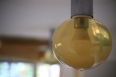 Glass bowl of a ceiling lamp filled due to water damage.の写真素材