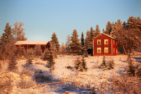 Old rural farmhouses in northern Sweden during winter sunset.の写真素材