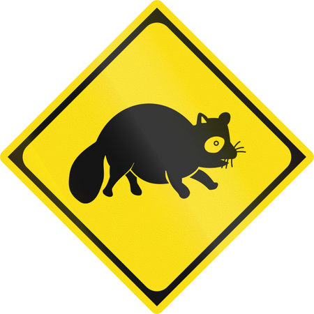 Japanese road sign - Animals crossing - Raccoon.の写真素材