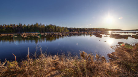Sunset river reflections with forested horizon and dry vegetation along the waterline.の写真素材