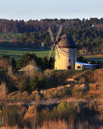 Historic windmill of Warnstedt surrounded by mixed vegetation and distant trees in soft sunlight.の写真素材