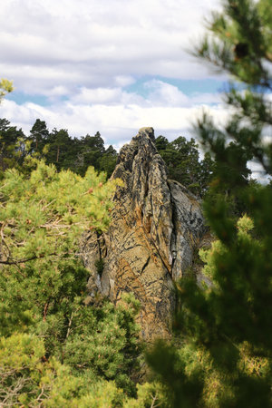 Jagged rock spire rising steeply from a dense pine forest in the Harz mountains.の写真素材