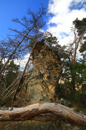 Weathered rock pillar standing among pines and framed by a fallen tree under a partly cloudy sky.の写真素材
