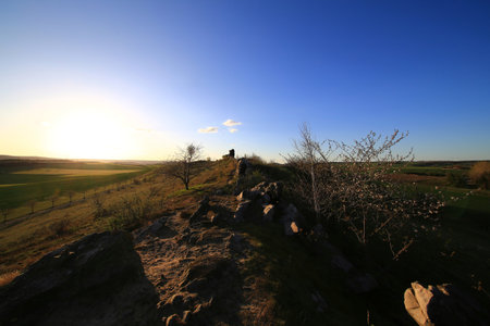 Teufelsmauer ridge trail sunset behind flowering trees and scattered sandstone rocks in open field.の写真素材