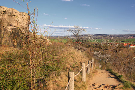 Dirt path descending past spring blossoms with a view along the Teufelsmauer, Harz, Germany.の写真素材