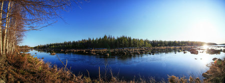 Wide northern river Skelleftealv with low sun, forested banks, and birch trees under a clear sky.の写真素材
