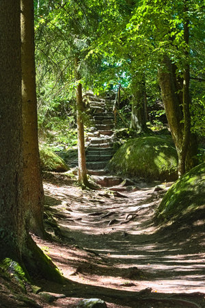 Forest path with stone steps leading upward through mossy rocks and shaded woodland.