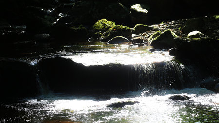 Small waterfall over mossy rocks in shaded forest stream with sunlight reflections.の写真素材