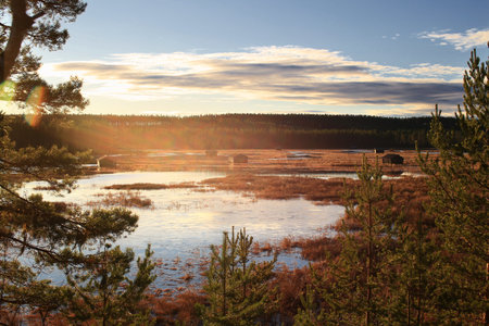Sunlight over Svansele Dammanger (Svansele water meadows) in Sweden with calm water and pine forest.の写真素材