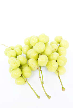 3 star gooseberry の写真素材