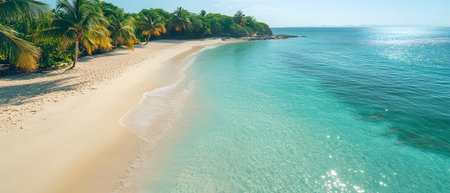 A clean white sandy beach stretches under a vast blue sky, with clear turquoise waters sparkling in the warm sunlight. Soft, foamy waves gently lap the shore perfect for eco-tourism posters or media.の素材