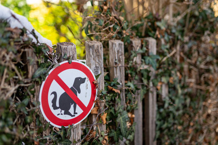 A clear âno dog foulingâ sign mounted on a wooden fence surrounded by ivy, conveying a clean public area message with natural outdoor surroundings.の写真素材