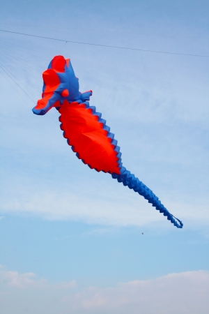 Seahorse kite in the sky in  a windy dayの写真素材