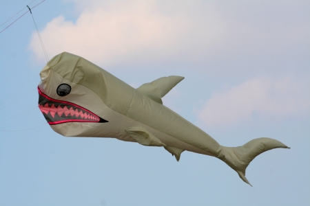 Shark kites on a blue sky background, in a sunny dayの写真素材