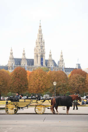 Horse carriage in Viennaのeditorial素材