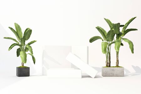 3D render of tropical plants isolated on white background.の写真素材