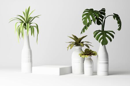 3D render of tropical plants isolated on white background.の写真素材