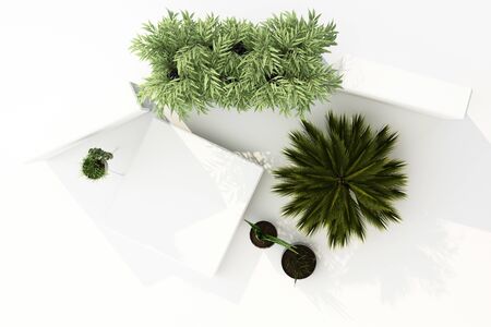 3D render top view of tropical plants isolated on white background.の写真素材