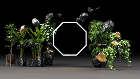 Various green leaves in marble pots And a geometric shape with a glowing LED light On a black background 3d renderingの写真素材