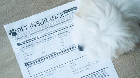 Adorable white puppy rests its head on a pet insurance form, visually emphasizing the importance of being prepared for your petâs medical needs with love and responsibility.の写真素材