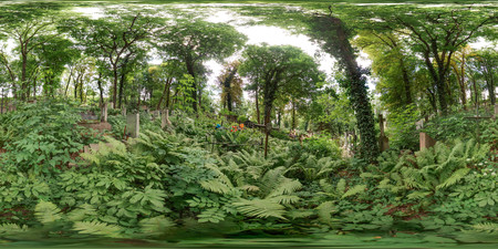 3D spherical panorama with 360 degree viewing angle. Ready for virtual reality in vr. Full equirectangular projection. Old cemetery in summer. Graveyard with green trees Tombs in the forest with grassのeditorial素材