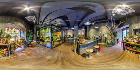 Moscow - 2018: 3D spherical dark panorama with 360 degree viewing angle of the loft interior flower...