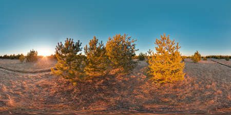 Beautiful landscape with river blue sky sunset at spring trees without greens and grass 3D spherical panorama with 360 degree viewing angle Ready for virtual reality vr Full equirectangular projectionの写真素材