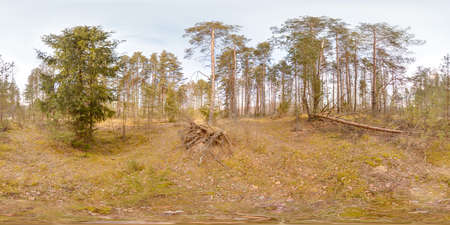 Amazing landscape with blue sky at spring trees without grass and greens with snow 3D spherical panorama with 360 degree viewing angle Ready for virtual reality vr Full equirectangular projectionの写真素材