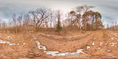 Amazing landscape with blue sky at spring trees without grass and greens with snow 3D spherical panorama with 360 degree viewing angle Ready for virtual reality vr Full equirectangular projectionの写真素材