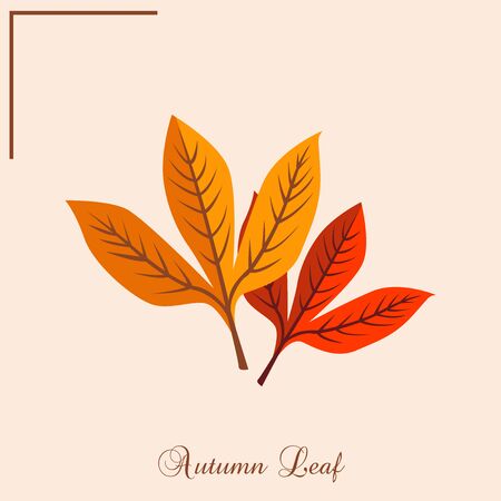 Autumn Leaf Illustration Design Artのイラスト素材