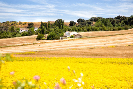 Landscape of Andalusia, Spainの写真素材