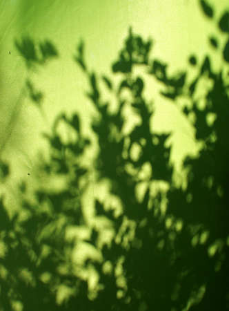 green background with trees and sun