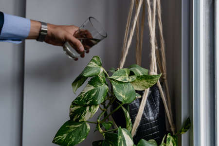 businessman watering plants in a flowerpot, doing household chores, on labor dayの写真素材