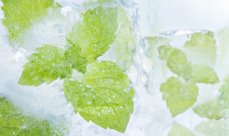 Ice mintの写真素材