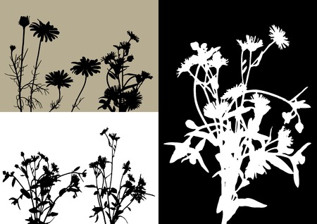 collection for designers, plant vectorのイラスト素材