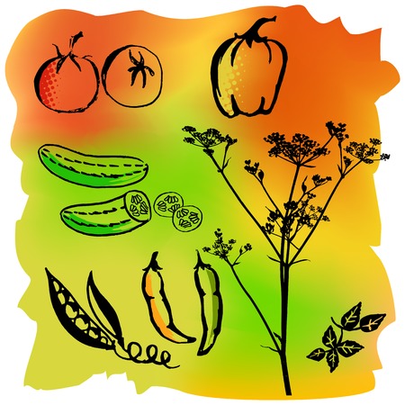 Cartoon tomatoes, pepper and paprika silhouettesのイラスト素材