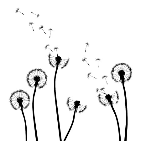 collection, for designers, plant のイラスト素材