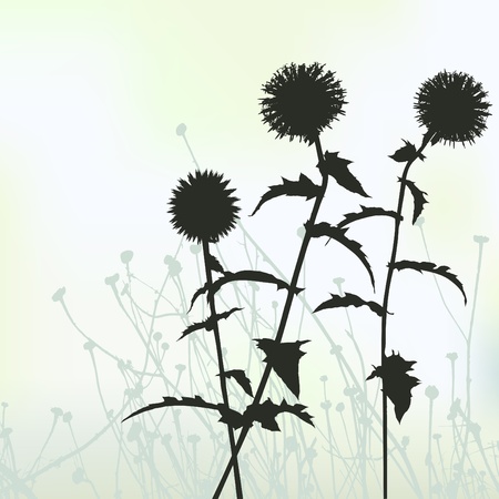 floral background, dandelionのイラスト素材